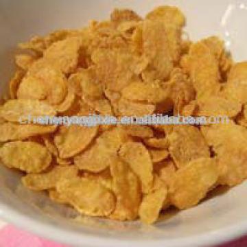 CY breakfast cereals /corn flakes making machine/ Manufacturing plant o