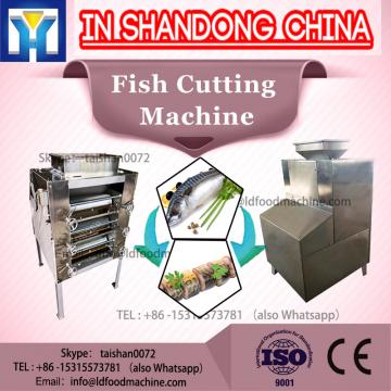 500kg/h stainless steel automatic feeding Frozen fish meat cutter frozen meat and bone cutting machine