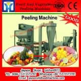 Soft Brush Cleaning Machine with Water Spraying to Process Fruit and Vegetables
