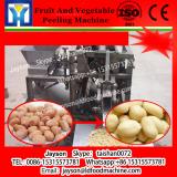 2017 China Hot Sale Fruit and vegetable washer and peeler, mango lemon brush washing machine