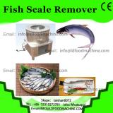Easy to operate automatic Fish Scale Removing Machine/Large fish processing equipment